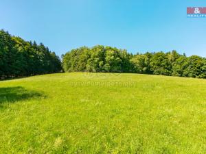 Prodej pozemku pro bydlení, Pec, 7125 m2