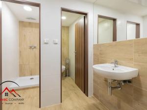 Pronájem bytu 1+kk, Ostrava, Cihelní, 17 m2