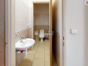 Pronájem kanceláře, Opava - Kateřinky, U Cukrovaru, 14 m2