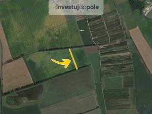Prodej pole, Lipov, 4290 m2