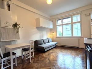 Pronájem bytu 1+kk, Praha - Libeň, V Holešovičkách, 20 m2
