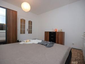 Pronájem bytu 2+1, Břeclav, Budovatelská, 51 m2