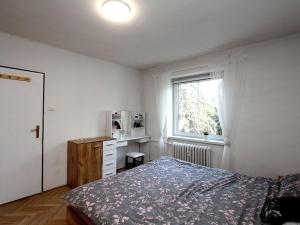 Pronájem bytu 2+1, Pardubice - Zelené Předměstí, Artura Krause, 60 m2