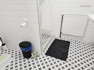 Prodej bytu 1+kk, Kralupy nad Vltavou, Přemyslova, 133 m2