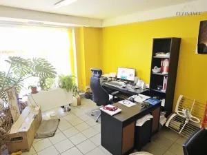 Prodej bytu 1+kk, Kralupy nad Vltavou, Přemyslova, 133 m2