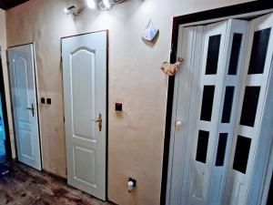 Prodej bytu 2+1, Ústí nad Labem - Neštěmice, Studentská, 52 m2