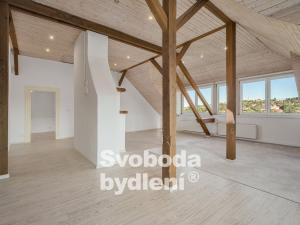 Pronájem rodinného domu, Praha - Dejvice, Na Sekyrce, 480 m2