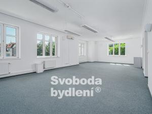 Pronájem rodinného domu, Praha - Dejvice, Na Sekyrce, 480 m2