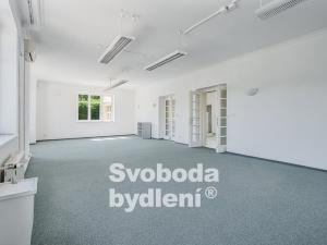 Pronájem rodinného domu, Praha - Dejvice, Na Sekyrce, 480 m2