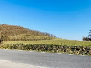 Prodej pozemku pro bydlení, Oskava, 3293 m2