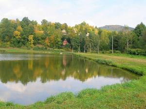 Prodej pozemku pro bydlení, Oskava, 3293 m2