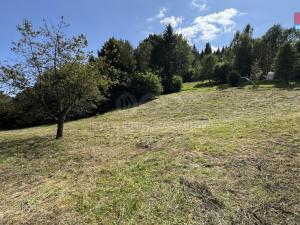 Prodej pozemku pro bydlení, Tanvald - Žďár, 1791 m2