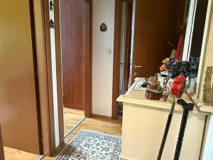 Prodej bytu 3+kk, Praha - Dejvice, Paťanka, 95 m2