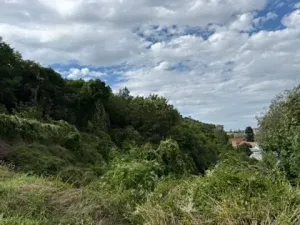 Prodej bytu 3+kk, Praha - Dejvice, Paťanka, 95 m2