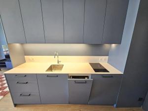 Pronájem bytu 1+kk, Praha - Hloubětín, Poděbradská, 33 m2