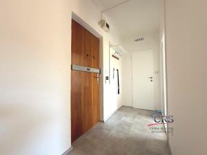 Pronájem bytu 1+1, Praha, Havířovská, 38 m2