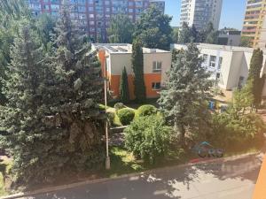 Pronájem bytu 1+1, Praha, Havířovská, 38 m2