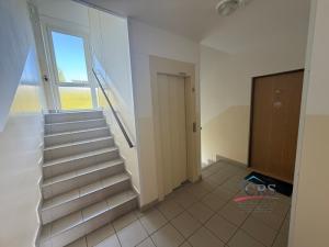 Pronájem bytu 1+1, Praha, Havířovská, 38 m2