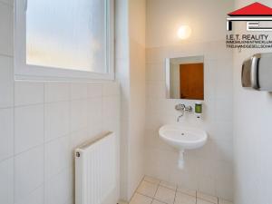 Pronájem skladu, Brno, Kroftova, 81 m2