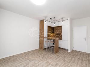 Pronájem bytu 1+kk, Frýdek-Místek - Frýdek, Hasičská, 28 m2