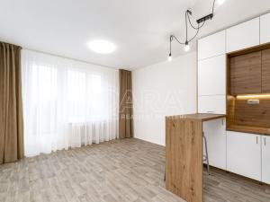 Pronájem bytu 1+kk, Frýdek-Místek - Frýdek, Hasičská, 28 m2