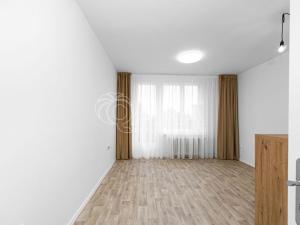 Pronájem bytu 1+kk, Frýdek-Místek - Frýdek, Hasičská, 28 m2