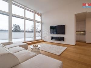 Prodej bytu 4+kk, Ostrava - Moravská Ostrava, Preslova, 306 m2