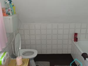 Prodej chaty, Holčovice - Spálené, 110 m2