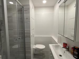 Pronájem bytu 2+1, Olomouc - Nové Sady, Werichova, 44 m2