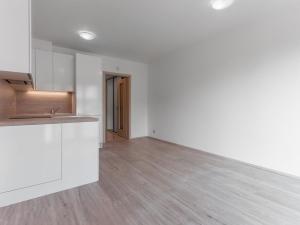 Pronájem bytu 1+kk, Praha - Vysočany, Bassova, 28 m2