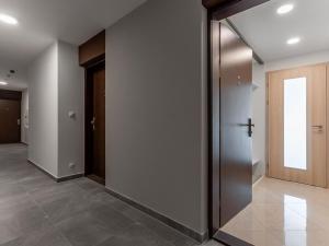 Pronájem bytu 1+kk, Praha - Vysočany, Bassova, 28 m2