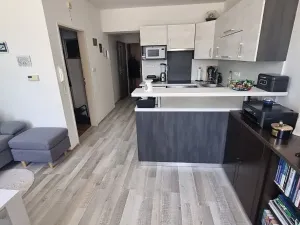 Prodej bytu 2+kk, Jihlava, Mlýnská, 34 m2