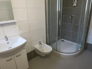 Pronájem bytu 1+1, Samotišky, 42 m2