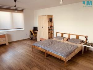 Pronájem bytu 1+kk, Jihlava, Pávovská, 40 m2
