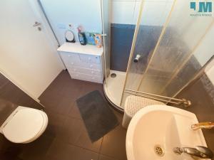 Pronájem bytu 1+kk, Jihlava, Pávovská, 40 m2