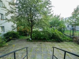 Pronájem bytu 2+1, Praha - Žižkov, Pod lipami, 52 m2