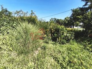 Prodej rodinného domu, Sivice, 120 m2