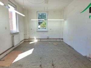 Pronájem výrobních prostor, Planá, Plzeňská, 249 m2