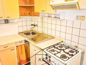 Pronájem bytu 1+1, Dolní Zálezly, Národní fronty, 39 m2