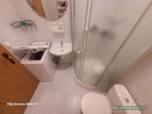 Pronájem bytu 1+1, Praha - Smíchov, U Santošky, 45 m2