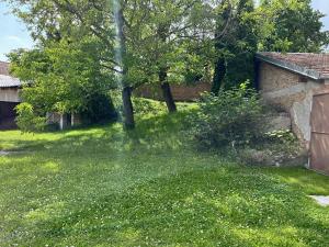 Prodej pozemku, Pivín, 80 m2
