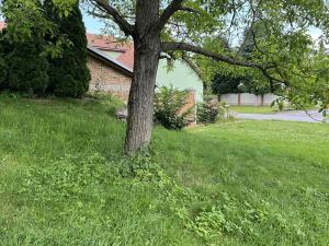 Prodej pozemku, Pivín, 80 m2