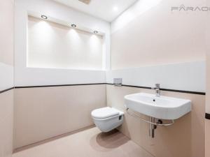 Pronájem bytu 4+kk, Praha - Vinohrady, Jana Masaryka, 228 m2
