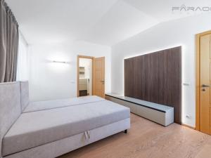 Pronájem bytu 4+kk, Praha - Vinohrady, Jana Masaryka, 228 m2