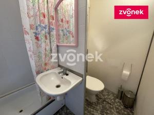 Pronájem bytu 2+kk, Zlín, Česká, 34 m2