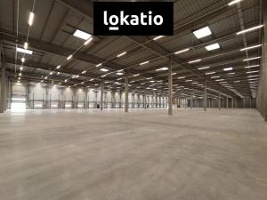 Pronájem skladu, Pardubice - Rosice, 2600 m2