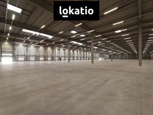 Pronájem skladu, Pardubice - Rosice, 2600 m2