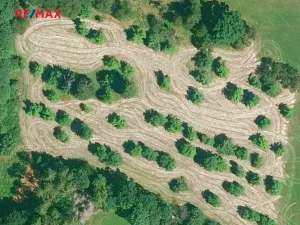Prodej sadu/vinice, Miloňovice, 18431 m2