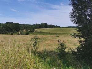 Prodej pozemku pro bydlení, Jablonné v Podještědí, 35144 m2