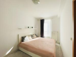 Pronájem bytu 2+kk, Olomouc - Řepčín, gen. Píky, 60 m2